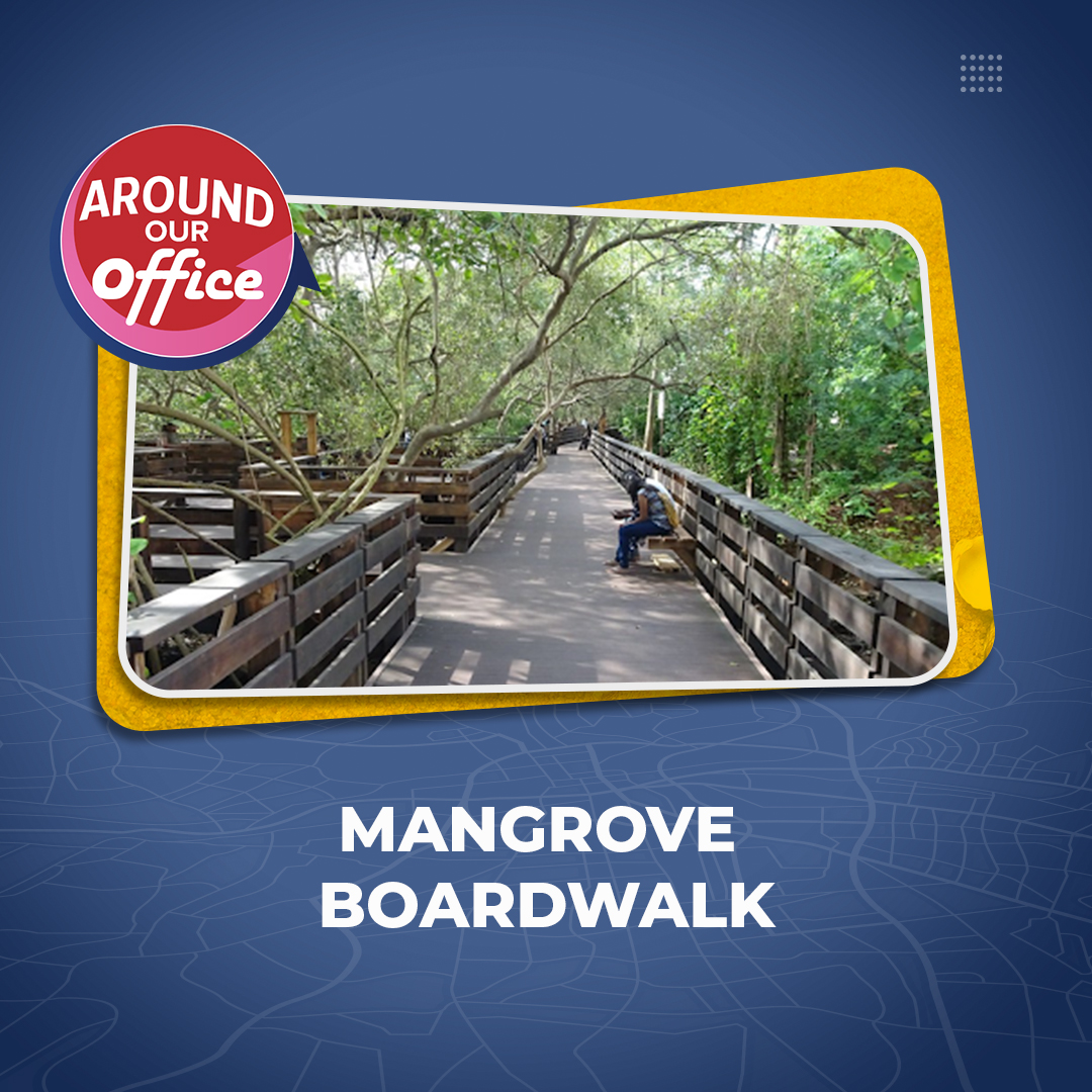 Prototyze1's tweet photo. Behind the new Central Library lies the Mangrove Boardwalk, which highlights the role played by mangroves in the ecology of the Ourem Creek. Have you visited yet?

#AroundOurOffice #MangroveBoardwalk #OuremCreek #WorkingInGoa #Prototyze #Goa https://t.co/cgBe1T4t3w