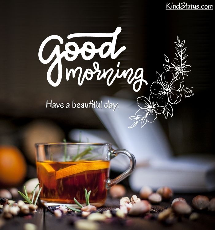 vikrant97480921's tweet photo. Good Morning to all hydear friends...........

#https://www.hydear.com/user/profile/oVGXGOw=

#hydear

#hydearworld

#entertainment

#registeryourself

MADE IN INDIA https://t.co/xJKecOAecl