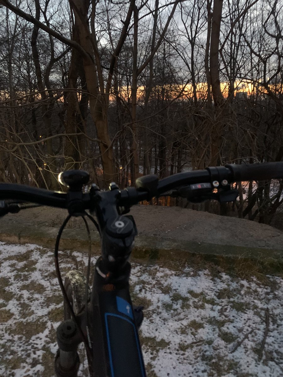 #bikedog