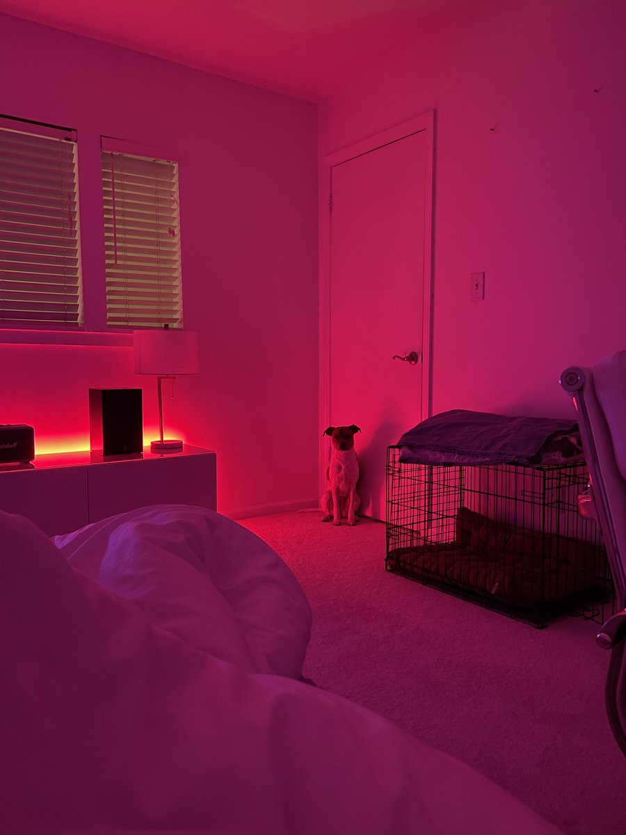 ShanksFanClub's tweet image. 👹