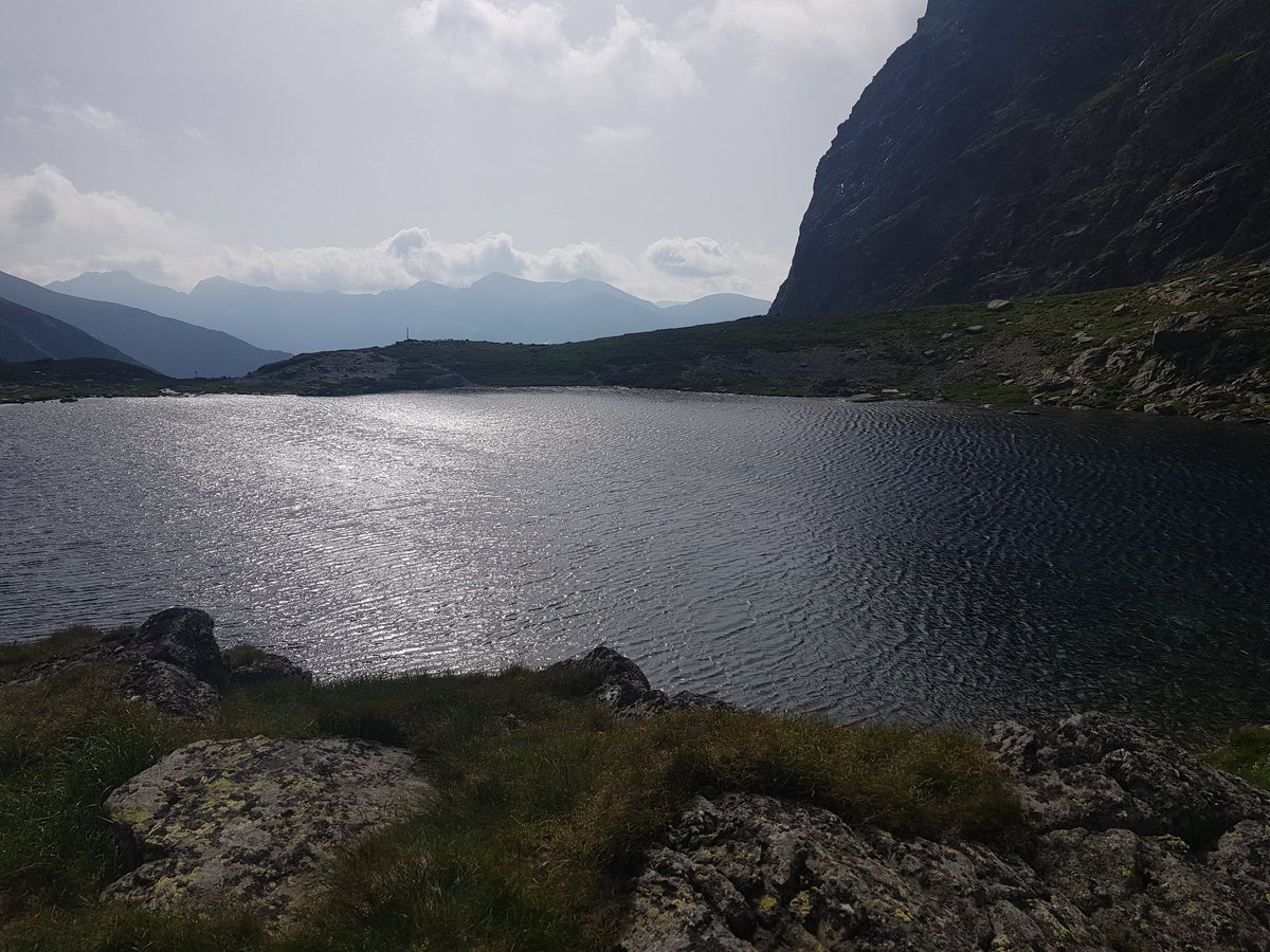 Timotei Georgescu tweet media