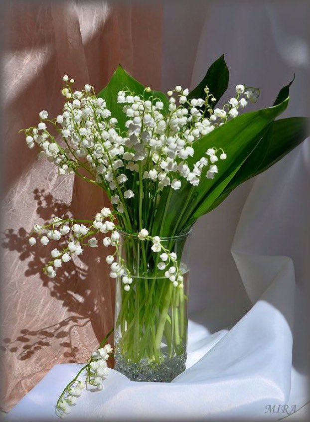 ландыши в вазе. букет ландышей в вазе. нарциссы сирень ландыши. ландыши в вазах. ландыши в вазе.