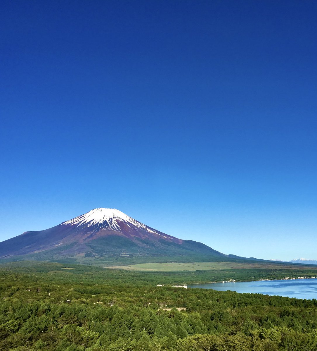 いつもありがとうございます🗻 今日の一枚