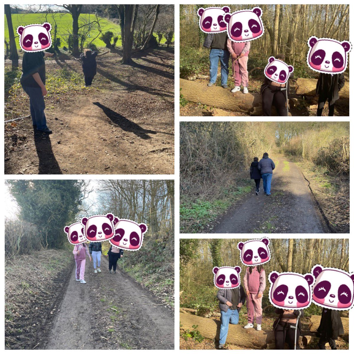 Embracecic's tweet photo. Feeling that sun on your face and being present in the moment is important ☀️🌳 Taking the opportunity to be outside as much as possible helps with emotional regulation and overal well-being.  #mindfulness #beingoutside #woodlandswalk #breathe #embracecic 💜 https://t.co/E5ZqVr9I6q