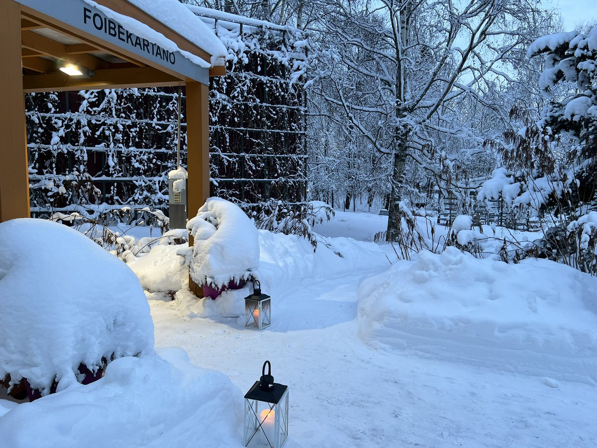 foibekartano's tweet photo. Hyvää huomenta ✨
Nyt on saatu runsaasta lumesta ja sen tuomasta valosta ainakin nauttia😊❄️
#Foibekartano #HyvänElämänYhteisö #HyvääHuomenta #lumi #talvi #kynttilä #lyhty https://t.co/7KnqhvuICr