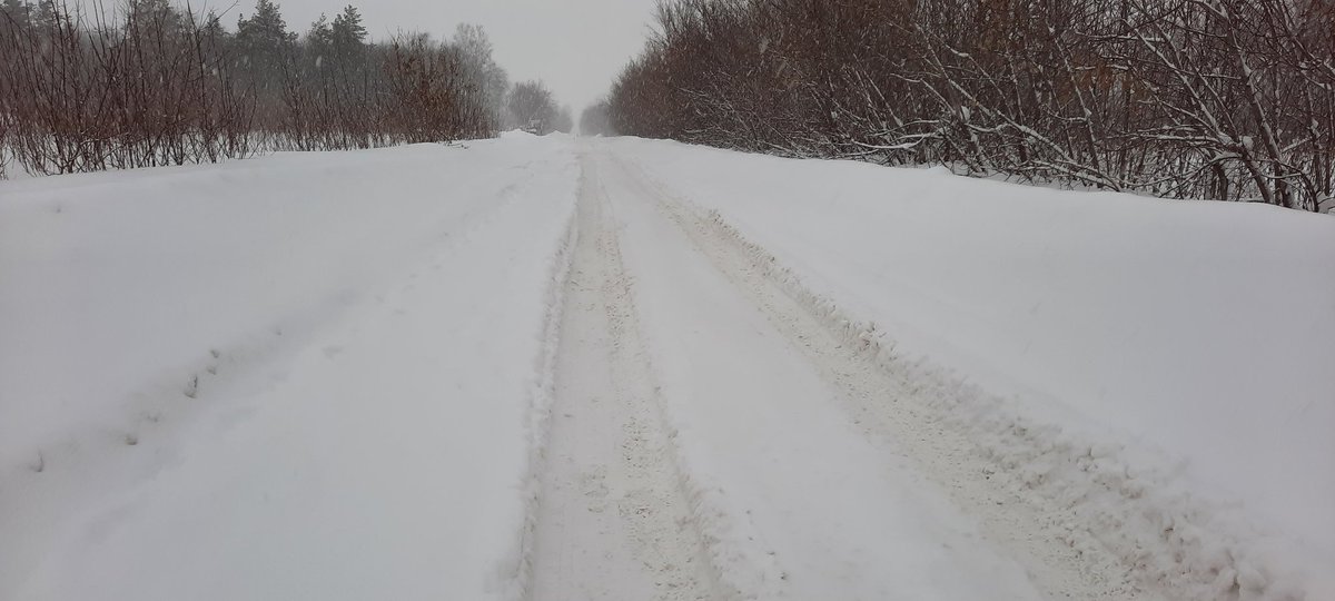 Мария Полякова tweet media