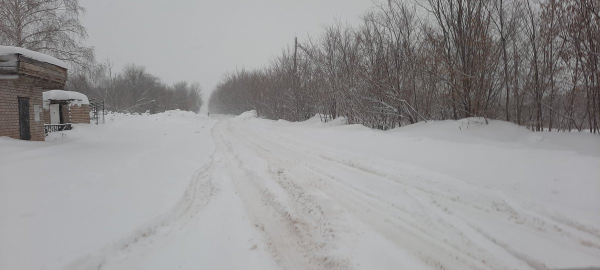 Мария Полякова tweet media