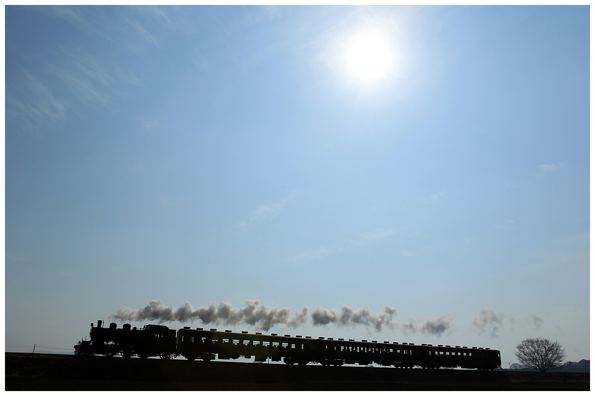 楓ちゃん tweet media