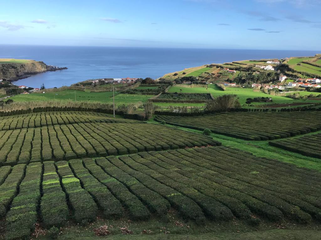 BCN_Hidden_Tour's tweet photo. T'apuntes a un viatge a les Azores? Us espero a la presentació d'aquest destí impressionant, a la llibrería la Viatgeria de Calonge, el proper día 19 de febrer a les 12.00 del migdia al carrer de la Rutlla 12, Calonge. #azores #portugal #privateguide #guidedtours #laviatgeria https://t.co/cJUHnx8a7D