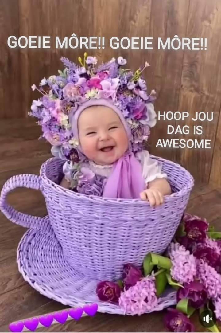 Sandra Holtzkampf (@suzieqt4) on Twitter photo 