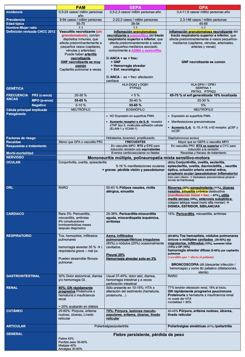 🆕2022 ACR/EULAR classification criteria  ANCA VASCULITIS 

🎁 Tabla de diagnóstico diferencial