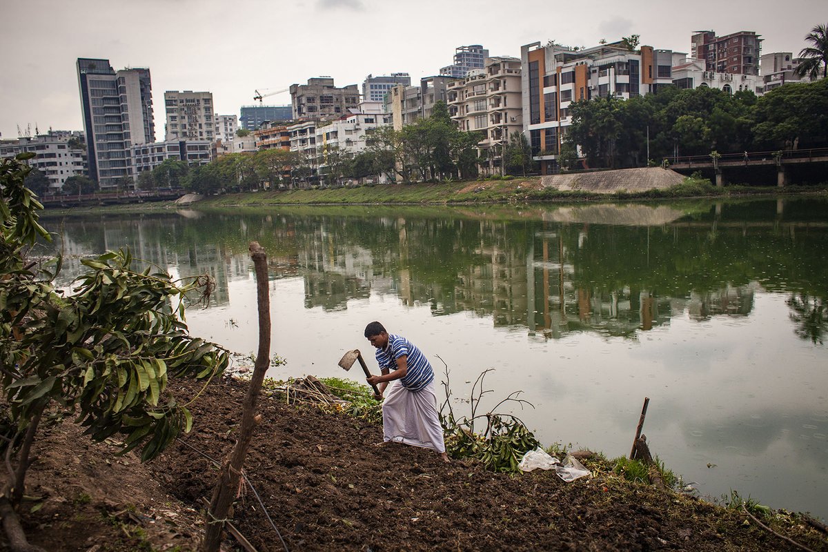 A resident of the Korail Bosti informal settlement prepares the ground on a lot on the bank of Banani Lake to grow vegetables.