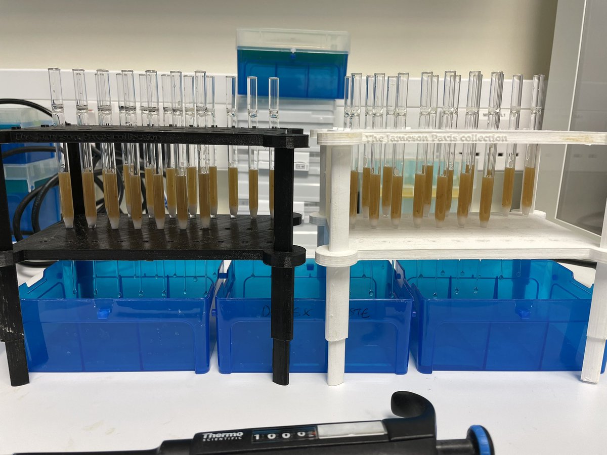 Plasma aa extractions complete for two participants! Thanks @inovdheijden for showing me the ropes 👍