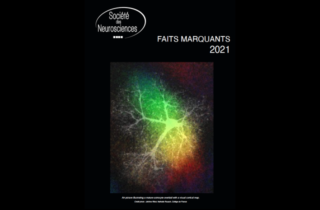 Check out our 2021 Highlights 👀(abstracts in 🇫🇷&amp; in🇬🇧) 👉 cutt.ly/xOTyf6n
with special thanks to @letelliermathi1 for all the work done 
© cover illustration by Jérôme Ribot &amp; <a href="/NathalieRouach/">Nathalie ROUACH</a> <a href="/CirbCdf/">CIRB_CdF</a>