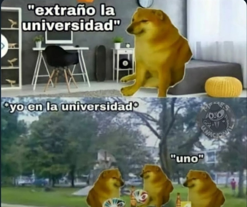 nacional_memes's tweet photo. Jajajajajajaja https://t.co/OYADp4kZmu