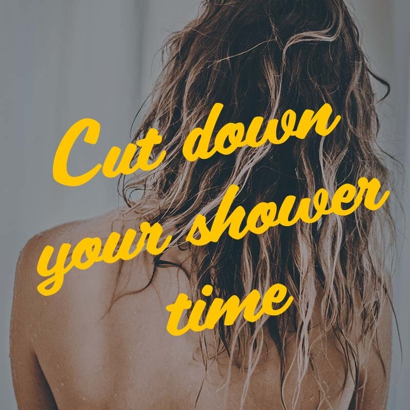 AloeCache's tweet image. If you're a morning hair washer, you can shampoo and condition your locks simultaneously. 
Lather up the top of your head, run conditioner from the middle to the tips!
Do you have any other good tips for a faster morning routine? 🚿
#MorningRush #QuickShower #IWokeUpLate