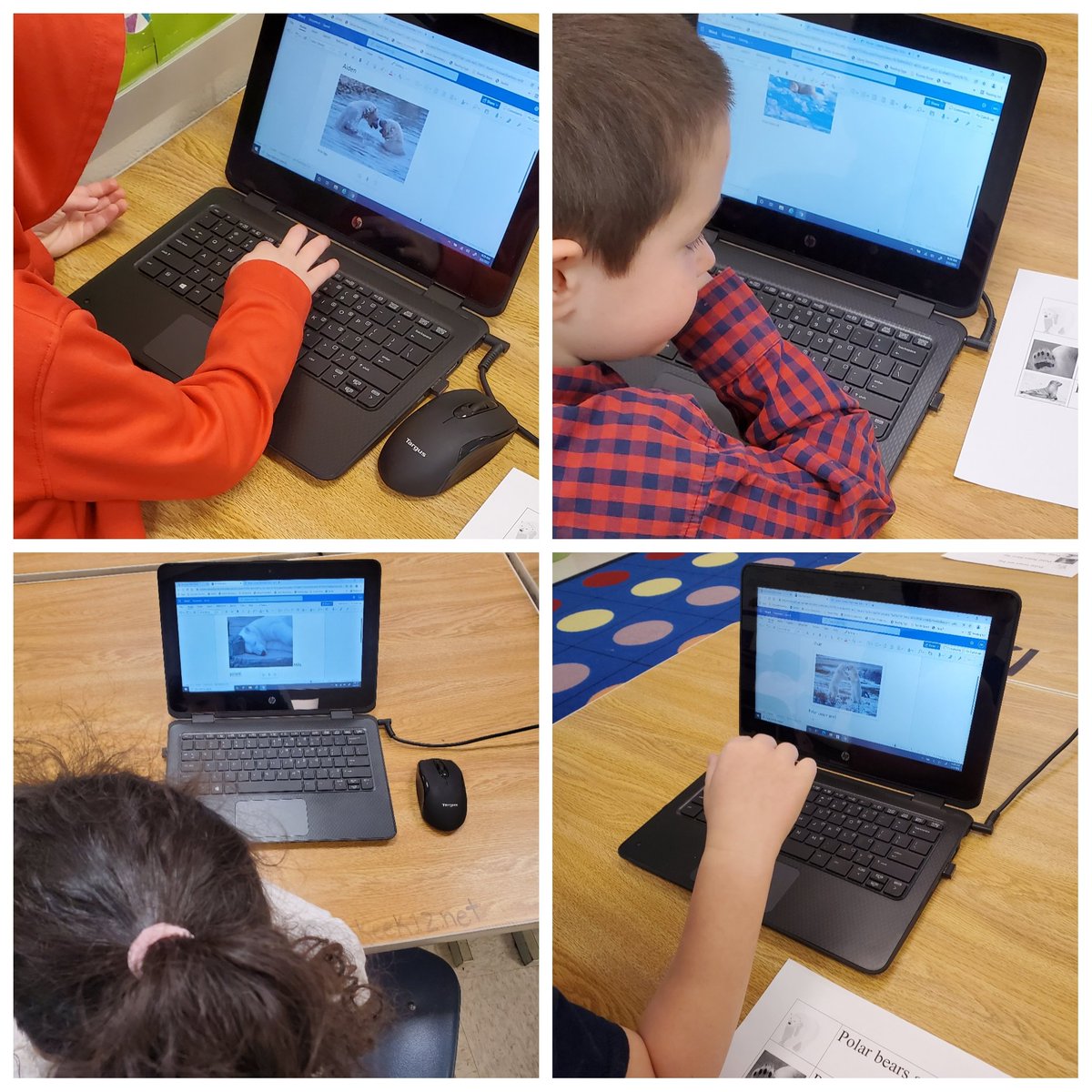 steam_liberty's tweet photo. My kinders are working towards their goal to be Microsoft Kids certified! @LibertyES1 @ITSCCSD @TechLibertyES @CherokeeSchools #MicrosoftEDU #MicrosoftWord https://t.co/ZNf0IWPFcy