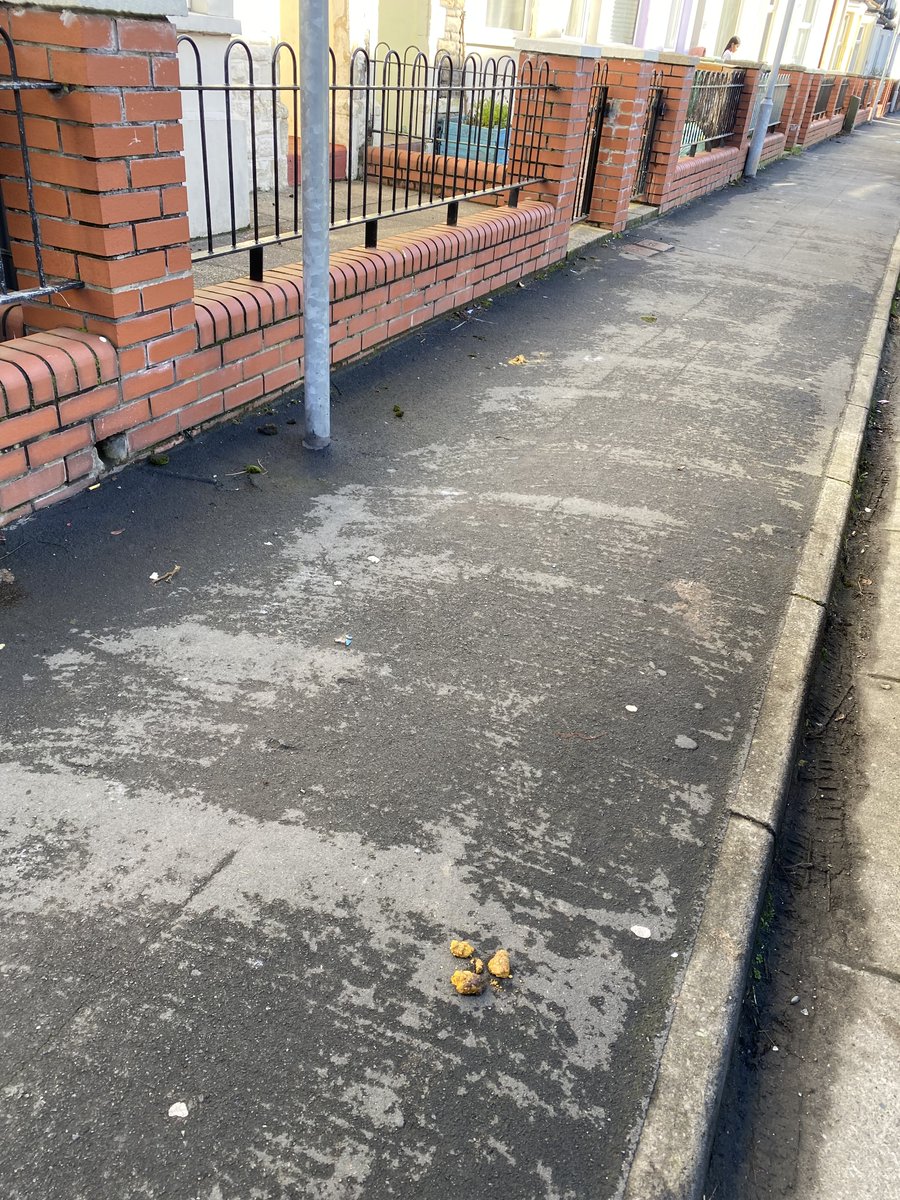 Iona Gordon (@ionabike) on Twitter photo Dog Mess is foul. More dogs than ever. More dog owners not removing mess. Can @swpCantonNPT @SWPCardiff help? Please ask dog owners - have you got a bag? Remind them to put the filled bag in a bin at home or in street. <a href="/cardiffcouncil/">Cardiff Council</a> <a href="/DogsTrust/">Dogs Trust 💛🐶</a> Dog Mess is foul. More dogs than ever. More dog owners not removing mess. Can @swpCantonNPT @SWPCardiff help? Please ask dog owners - have you got a bag? Remind them to put the filled bag in a bin at home or in street. <a href="/cardiffcouncil/">Cardiff Council</a> <a href="/DogsTrust/">Dogs Trust 💛🐶</a>
