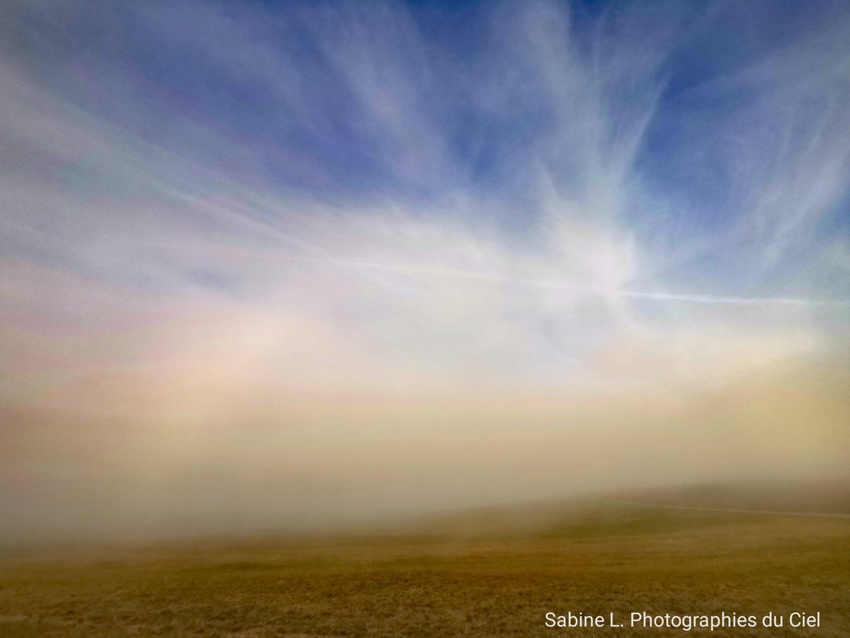 SabineL67's tweet photo. Arc blanc... Arc en ciel... Ciel voilé par les nuages d'altitude et bancs de brume !!
>> Voilà l'ambiance de ce matin sur la façade Ouest du Bas-Rhin.
🌡️ 4°C à 6°C

#Alsace #BasRhin #météo #météo67 #Crastatt #Allenwiller #Singrist https://t.co/pENP7Zq1BP