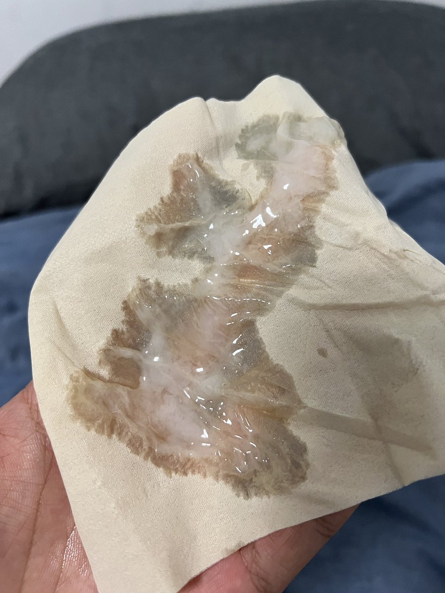 怪力男 tweet media