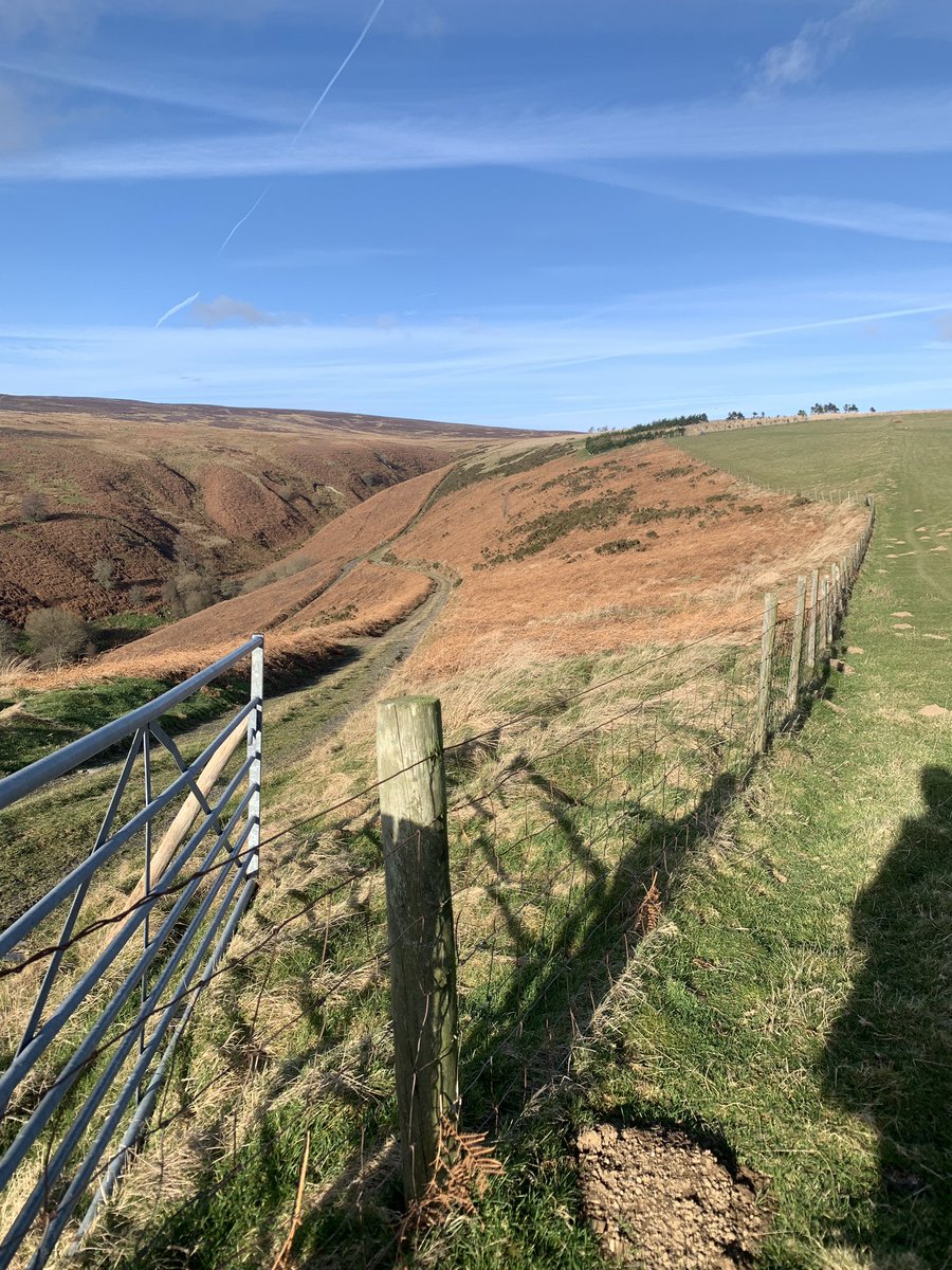 Lovely walk at weekend