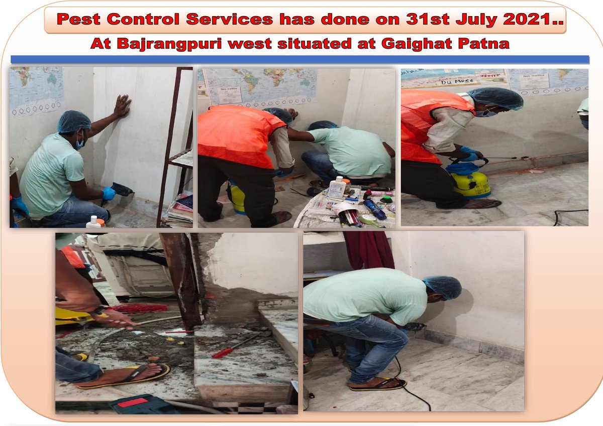 Shekhar_Tele's tweet photo. A pest control services(#Termitecontrolservices) has done at Bajrangpuriwest situated at Gaighat patna,Dated 31st July 2021 ...… https://t.co/x4x0OjOfvy
