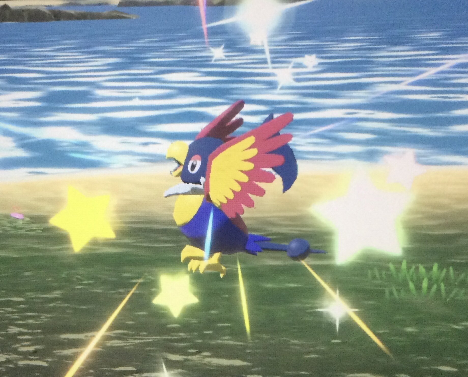 ゴンちゃん ポケモン第9世代スカーレット バイオレット 11月18日発売 ゴンちゃん誕生日 レジェンズアルセウス 色違い体目 色違いぺラップです 過去作を振り返っても 初めましての色違い N W N ぺ