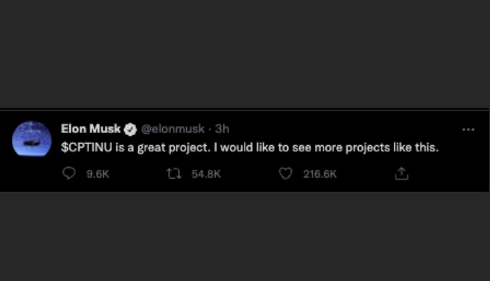 Originalwhite_1's tweet image. Best thing to do during #WinterStorm is to check out some new #crypto projects. 
$CPTINU is one I would recommend, so ambitious. Will keep you warm during these times.