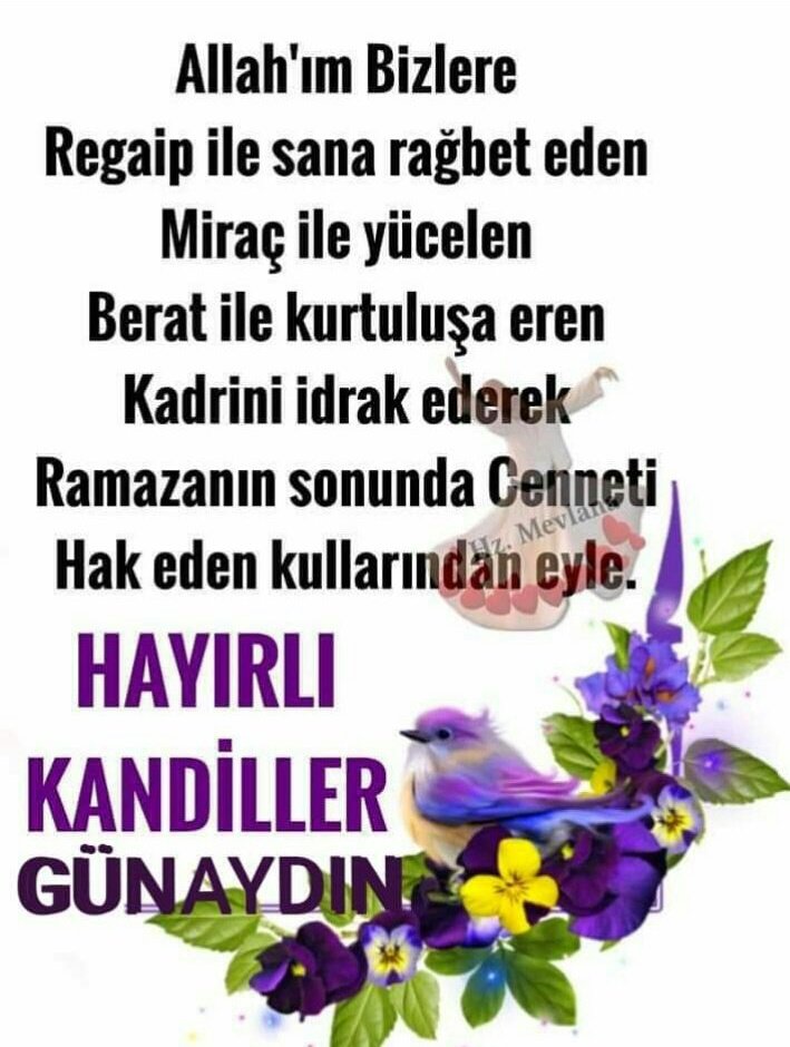 Selamün aleyküm
Hayırlı sabahlar hayırlı kandiller