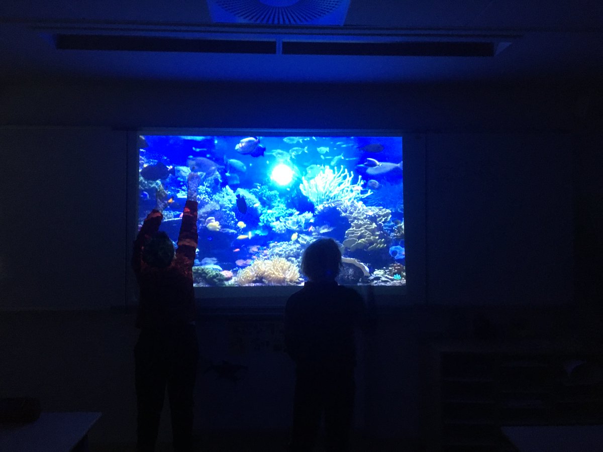 Lewillerhof's tweet photo. C'est beau !!!
Petite activité trouvée au hasard après la cohérence cardiaque. Emma nous dit les poissons à trouver et on les touche dès qu'on les trouve. Petit "cherche et trouve" aquatique. 
Poisson du jour : le chirurgien bleu (ou "Dory" dans le film animé "Némo"). 
Classe UEE https://t.co/6B2Jvq6fXt