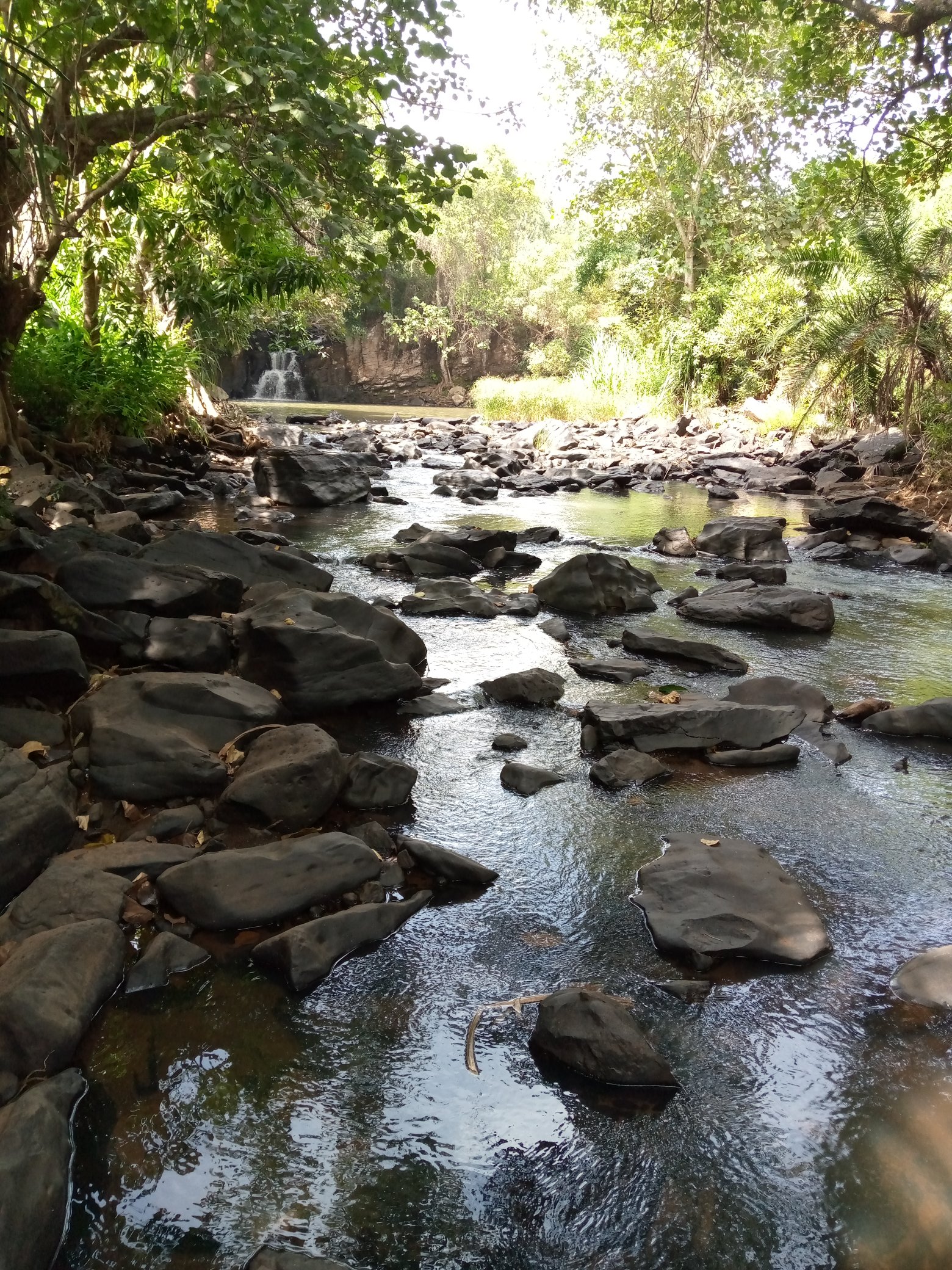 Buy Affordable agricultural land in Malindi 🇰🇪 (landinmalindi) / Twitter