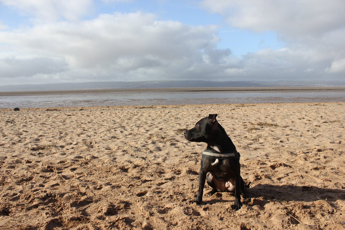 Walton (@waltonmcr) on Twitter photo 