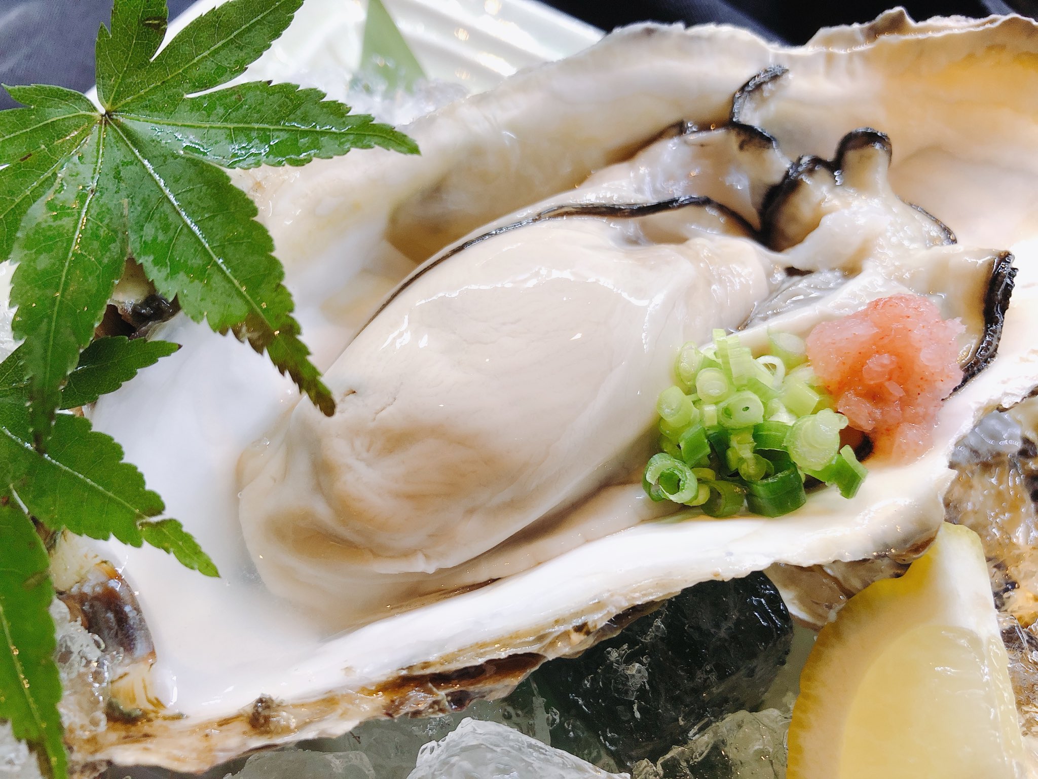 新宿なごみ 水炊き 季節料理 春ですね 絶賛 鰤しゃぶ や 煉獄しゃぶしゃぶ もご予約承り中です そら豆塩茹で 菜の花からし和え 真牡蠣 ご来店お待ち申し上げております T Co Jdept Twitter