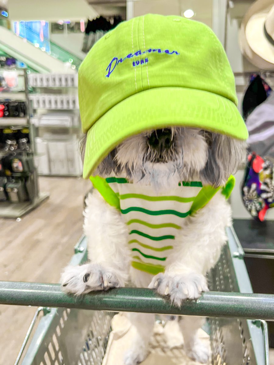 VeeYuhh's tweet photo. when i needed a hand, i found your paw 🐶🐾💚 https://t.co/xDjFaa7ePu