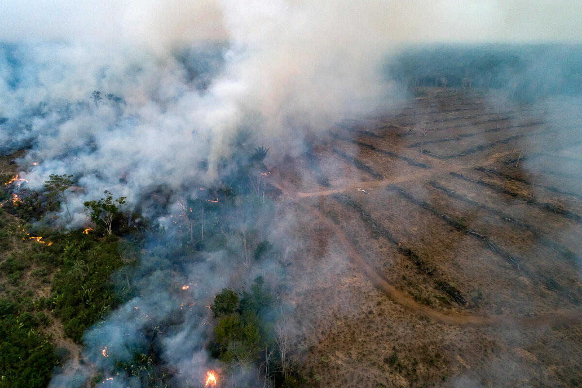 Zwischen Juli 2020 und August 2021 wurde mehr als die Fläche Tirols an Amazonasregenwald zerstört🌳🦥🔥Diese neuen Zahlen des @inpe_mct zeigen einmal mehr, wie dringend wir ein wirksames EU-#Lieferkettengesetz gegen #Entwaldung brauchen #together4forests orf.at/stories/324607…