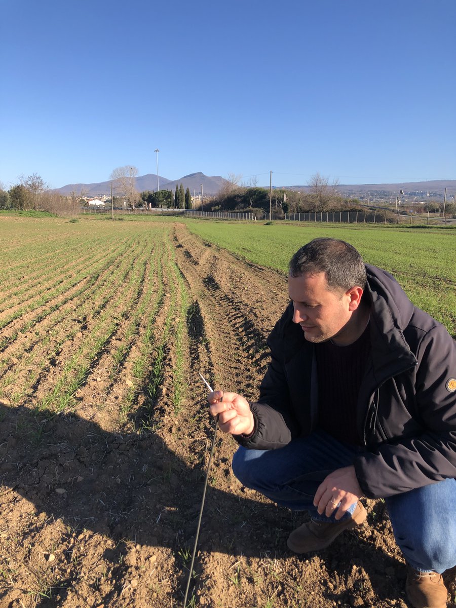 Medwhealth Prima Project tweet media