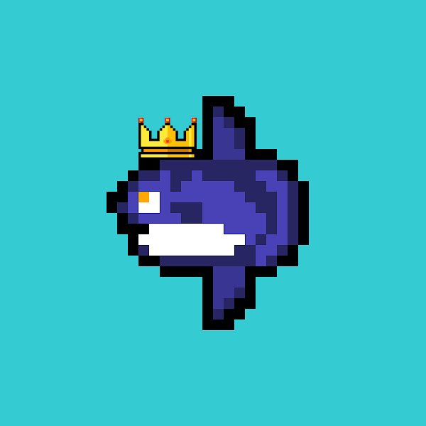 Weird Mola tweet media