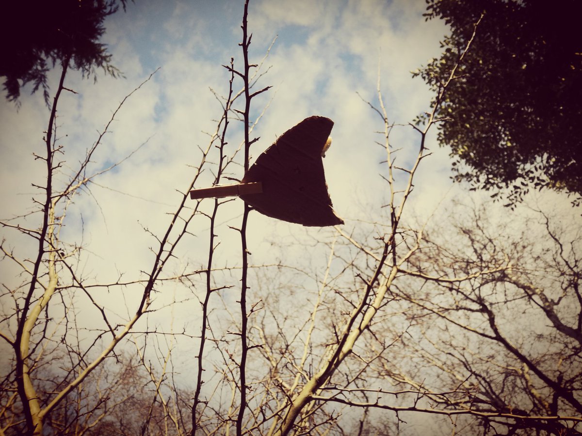 bisphamjy3's tweet photo. You can try this at home in your garden. Other bird friendly ingredients include peanut butter, bird seeds, sunflower seeds, bird nuts or lard. You could also mush these into pinecones and hang them from branches.
Happy twitching! https://t.co/vtS10VCRzT