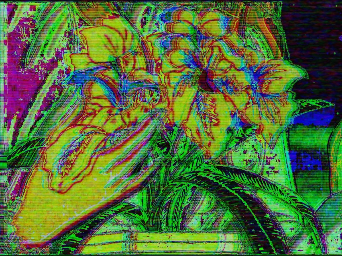 PainInTheEye's tweet photo. https://t.co/rAeOp1vENm