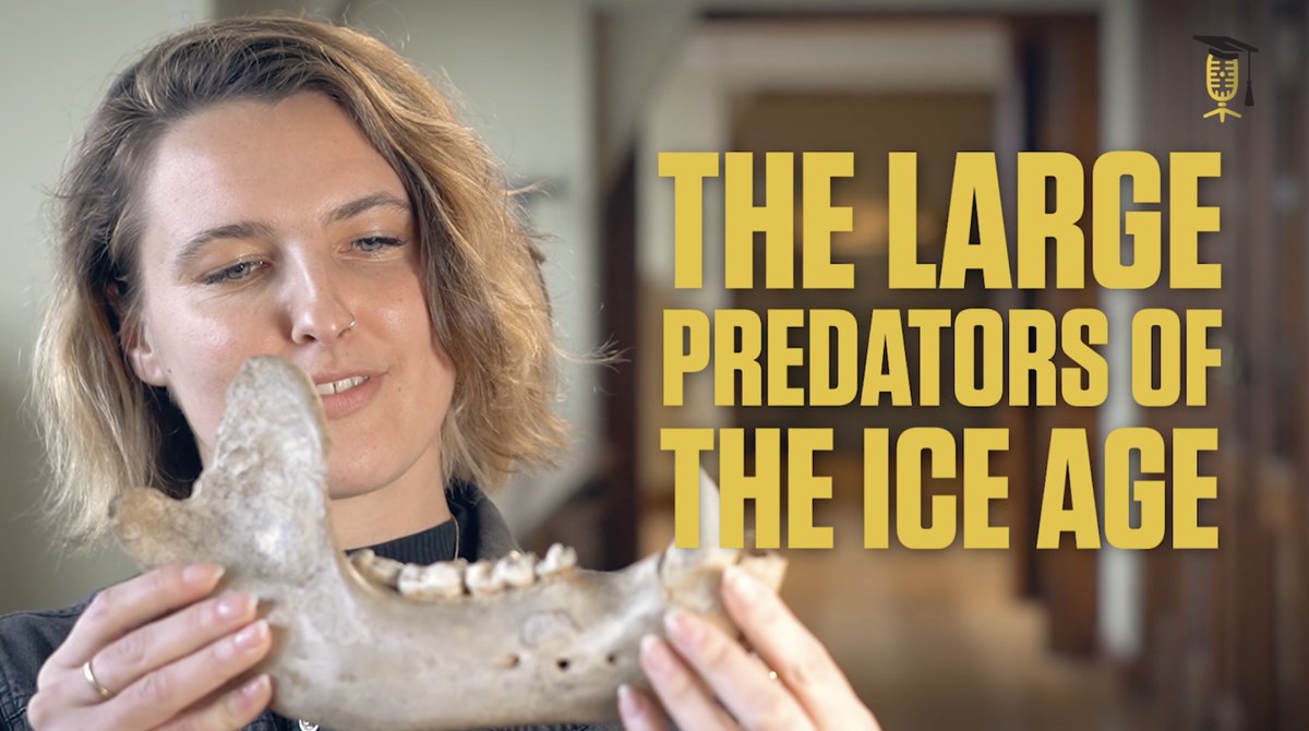 SciMingo's tweet photo. Meet zooarchaeologist @DrEloJimenez (@RBINSmuseum @aberdeenuni). She studies #prehistoric #predators and their life during the last ice age. In Belgium, she recently identified a den where cave #hyena cubs died shortly after birth. 

Find out more 🎥 👀 👉https://t.co/hYOuq2rPgg https://t.co/AVLlnRATP4