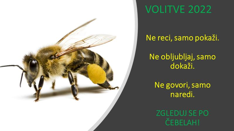 Letos je super volilno leto ...