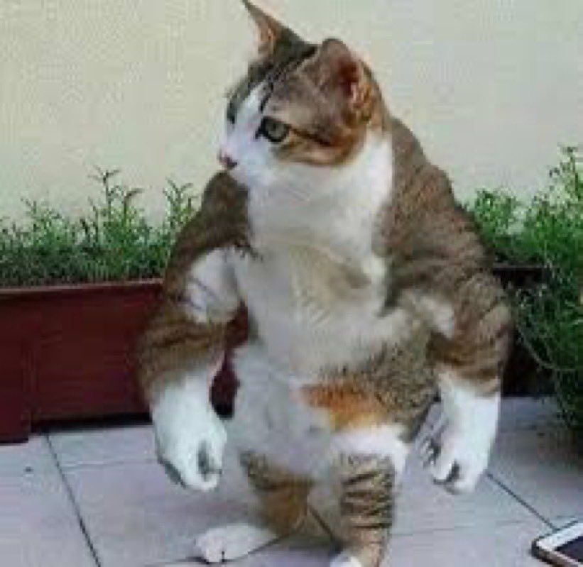 current mood