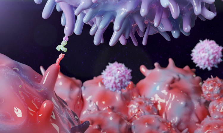 DrugTargetRev's tweet photo. Scientist in Finland have identified some causal factors for the variance in target protein binding times, bringing clarity to #DrugDesign @uni_tue @UniEastFinland #proteinbinding https://t.co/vxlaD8bblX https://t.co/dcSnyHPvax