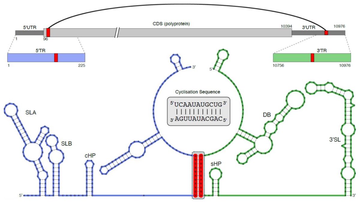 Michael T Wolfinger tweet media