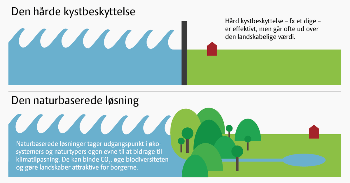 Danske Regioner tweet media