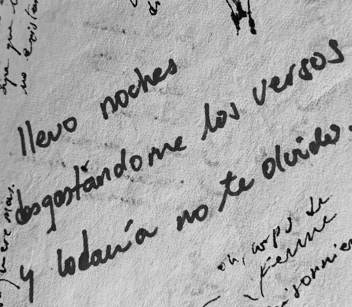 Willy Ortiz tweet media