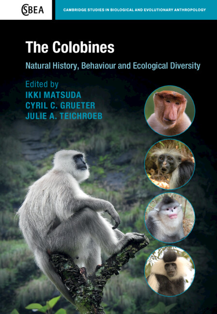 ccgrueter's tweet image. After 7 years in the making our book on #colobines has finally been published @CUP_LifeScience. We hope this will be a valuable source of information about these fascinating #primates for many years to come. @Teichroeb_Lab. @uwanews @ANHB_UWA @UWAresearch @CEB_UWA @ScienceUWA