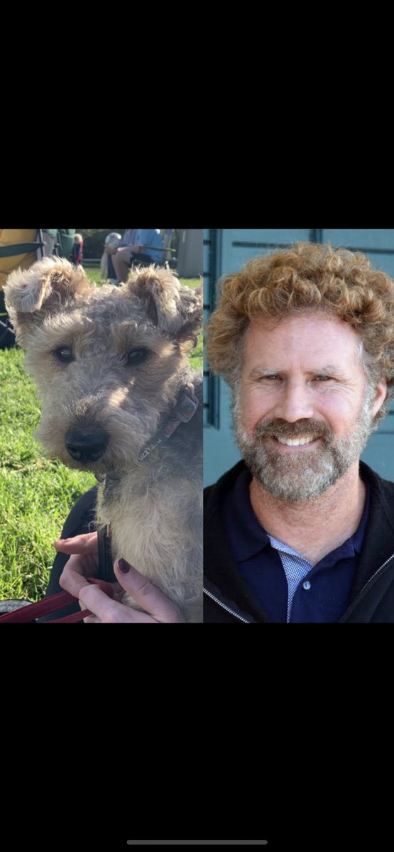 Sproyss's tweet photo. @thomasthesquare #WillFerrell is that you?….. https://t.co/uF8DUwnXBi
