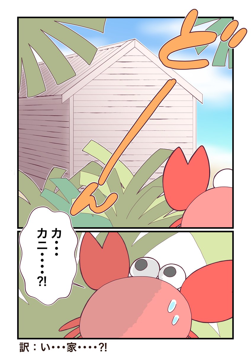 番外編:迷子のカニピッピ🦀②

#コルクラボマンガ専科  
#週刊マンガ専科   
#無人島のギャルうさぎ 