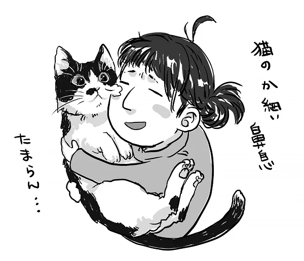 最近の癒し🐱 